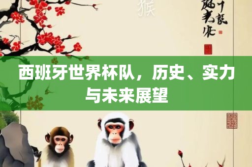 西班牙世界杯队，历史、实力与未来展望