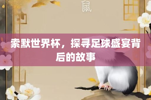 索默世界杯，探寻足球盛宴背后的故事