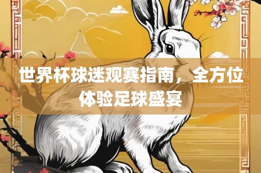 世界杯球迷观赛指南，全方位体验足球盛宴