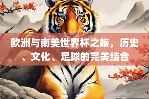 欧洲与南美世界杯之旅，历史、文化、足球的完美结合