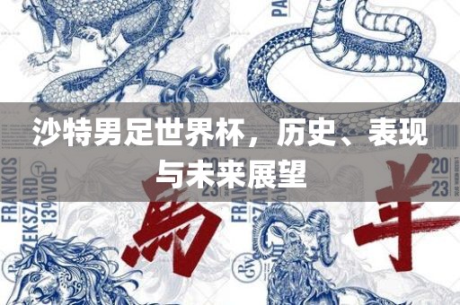 沙特男足世界杯，历史、表现与未来展望