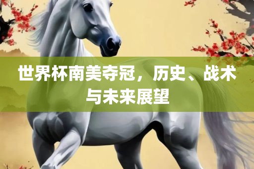 世界杯南美夺冠，历史、战术与未来展望