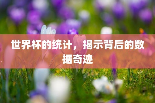 世界杯的统计，揭示背后的数据奇迹