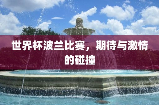 世界杯波兰比赛，期待与激情的碰撞