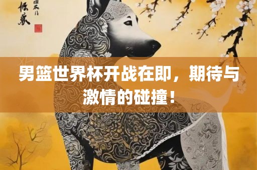 男篮世界杯开战在即，期待与激情的碰撞！