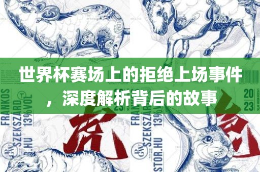 世界杯赛场上的拒绝上场事件，深度解析背后的故事