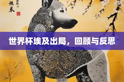 世界杯埃及出局，回顾与反思