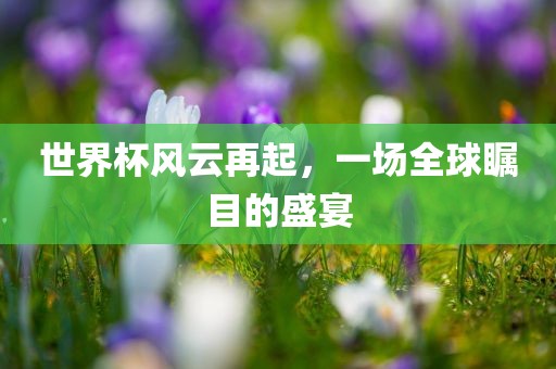 世界杯风云再起，一场全球瞩目的盛宴