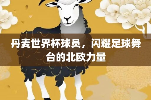 丹麦世界杯球员，闪耀足球舞台的北欧力量