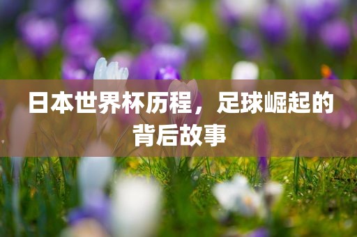 日本世界杯历程，足球崛起的背后故事