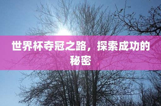 世界杯夺冠之路，探索成功的秘密