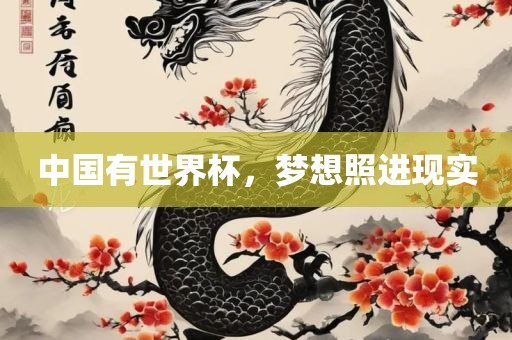 中国有世界杯，梦想照进现实
