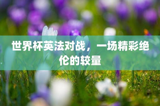 世界杯英法对战，一场精彩绝伦的较量
