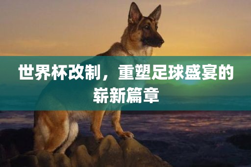 世界杯改制，重塑足球盛宴的崭新篇章