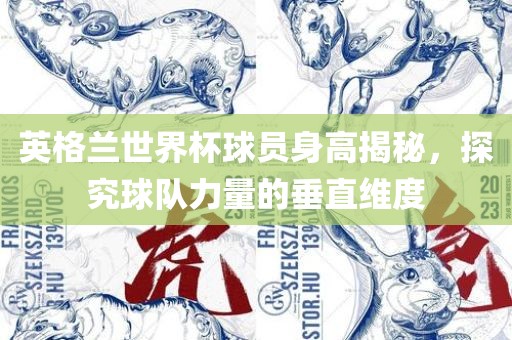 英格兰世界杯球员身高揭秘，探究球队力量的垂直维度