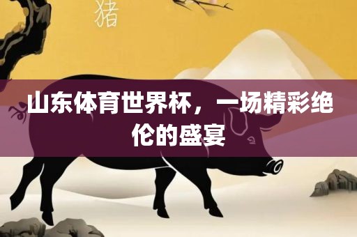 山东体育世界杯，一场精彩绝伦的盛宴
