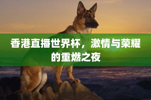 香港直播世界杯，激情与荣耀的重燃之夜