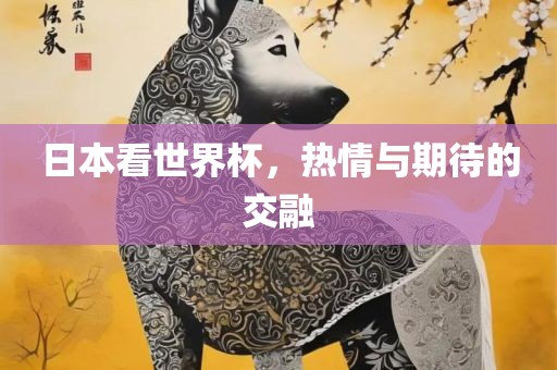 日本看世界杯，热情与期待的交融
