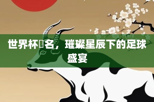 世界杯琲名，璀璨星辰下的足球盛宴