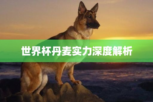 世界杯丹麦实力深度解析