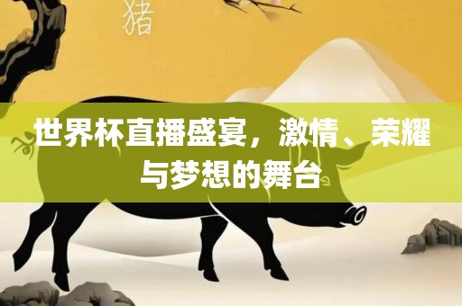世界杯直播盛宴，激情、荣耀与梦想的舞台