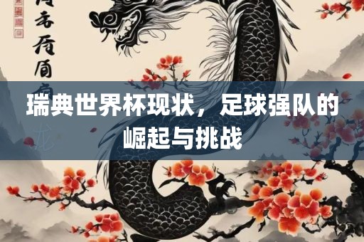 瑞典世界杯现状，足球强队的崛起与挑战