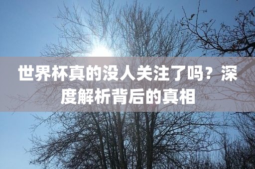 世界杯真的没人关注了吗？深度解析背后的真相