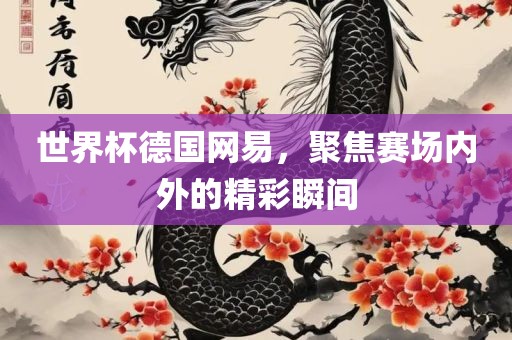 世界杯德国网易，聚焦赛场内外的精彩瞬间