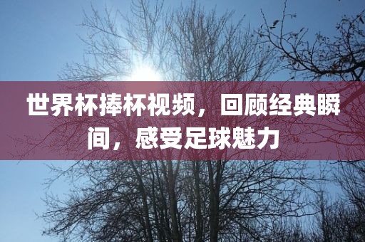 世界杯捧杯视频，回顾经典瞬间，感受足球魅力