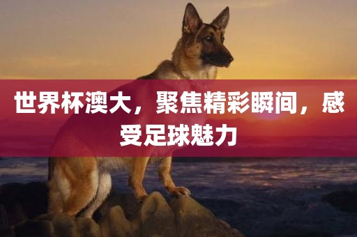 世界杯澳大，聚焦精彩瞬间，感受足球魅力