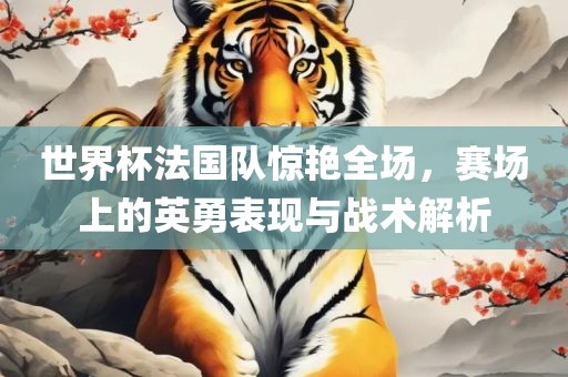 世界杯法国队惊艳全场，赛场上的英勇表现与战术解析