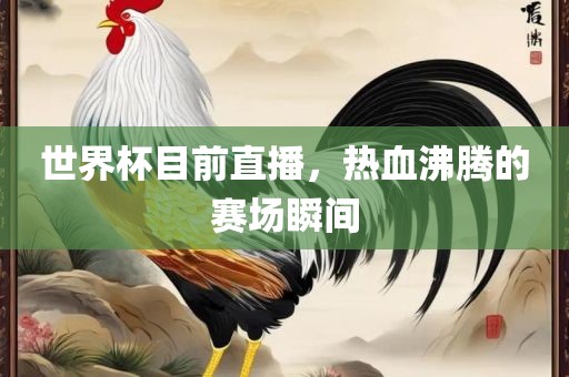世界杯目前直播，热血沸腾的赛场瞬间