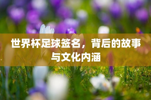 世界杯足球签名，背后的故事与文化内涵