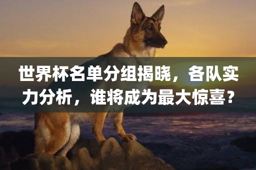 世界杯名单分组揭晓，各队实力分析，谁将成为最大惊喜？