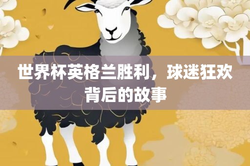 世界杯英格兰胜利，球迷狂欢背后的故事