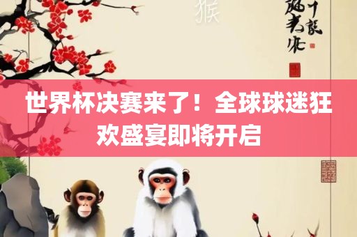 世界杯决赛来了！全球球迷狂欢盛宴即将开启