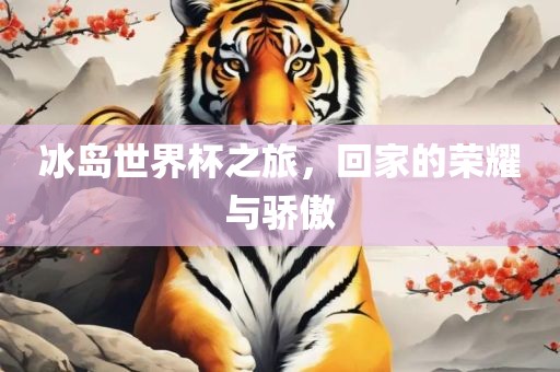 冰岛世界杯之旅，回家的荣耀与骄傲