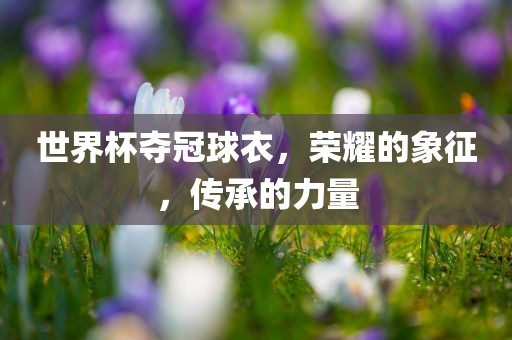 世界杯夺冠球衣，荣耀的象征，传承的力量