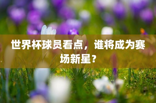 世界杯球员看点，谁将成为赛场新星？