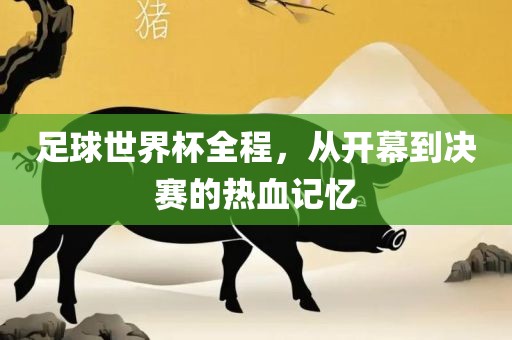 足球世界杯全程，从开幕到决赛的热血记忆
