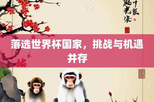 落选世界杯国家，挑战与机遇并存