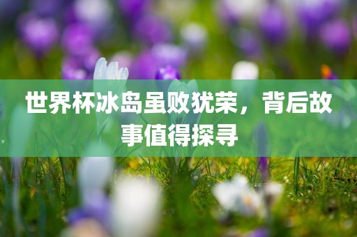 世界杯冰岛虽败犹荣，背后故事值得探寻