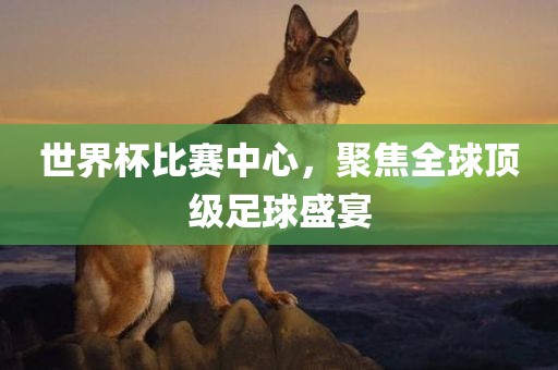 世界杯比赛中心，聚焦全球顶级足球盛宴