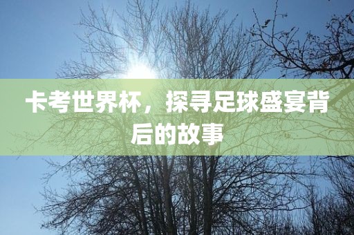 卡考世界杯，探寻足球盛宴背后的故事