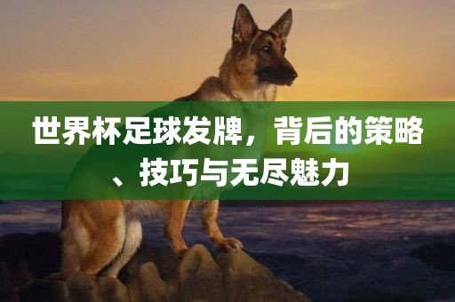 世界杯足球发牌，背后的策略、技巧与无尽魅力
