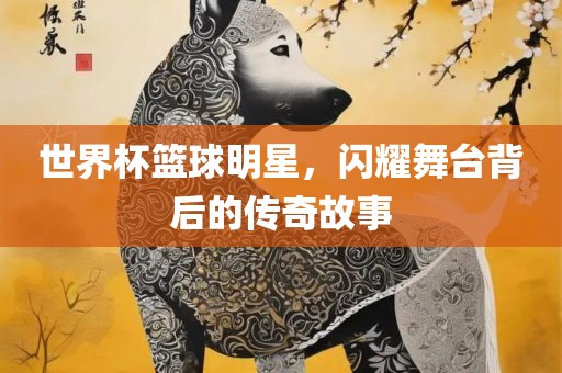 世界杯篮球明星，闪耀舞台背后的传奇故事