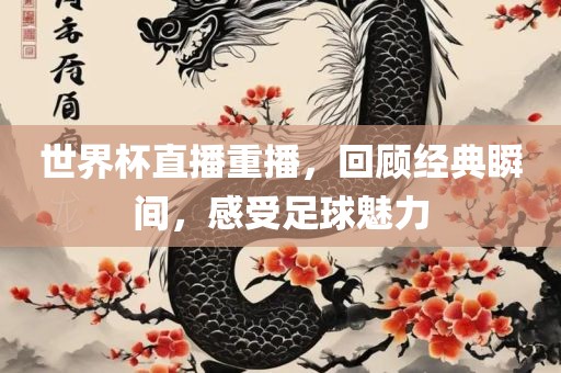 世界杯直播重播，回顾经典瞬间，感受足球魅力