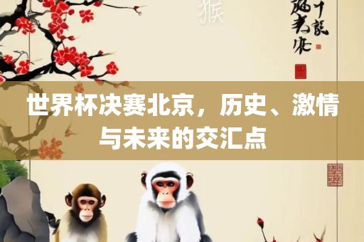世界杯决赛北京，历史、激情与未来的交汇点