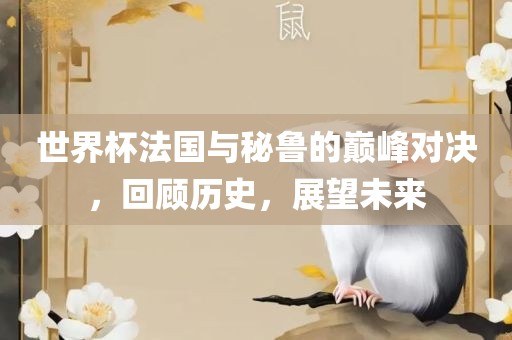 世界杯法国与秘鲁的巅峰对决，回顾历史，展望未来