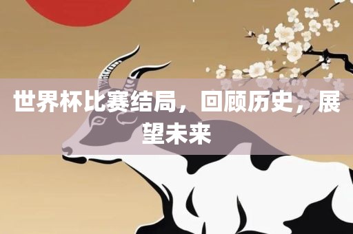 世界杯比赛结局，回顾历史，展望未来